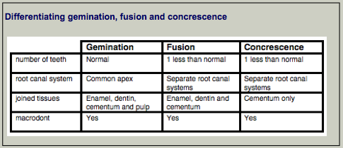 Differentiating Fusion Gemination Concrescence.png